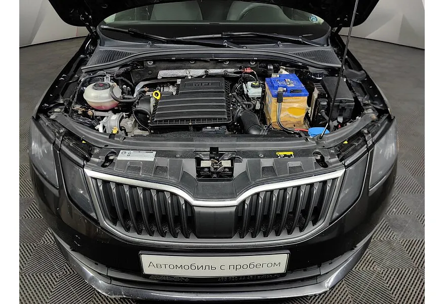 LIVE. Слайд №18