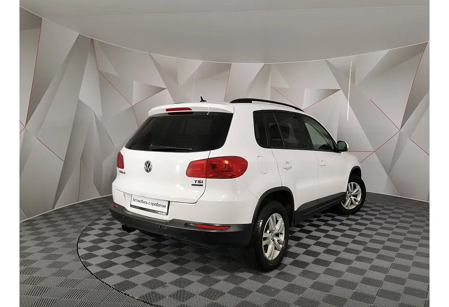 LIVE. Слайд №8