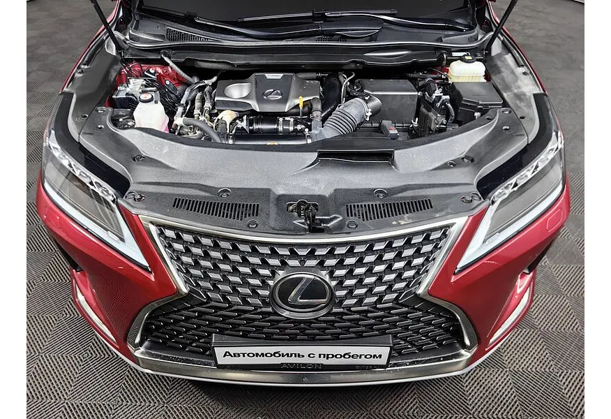 LIVE. Слайд №18