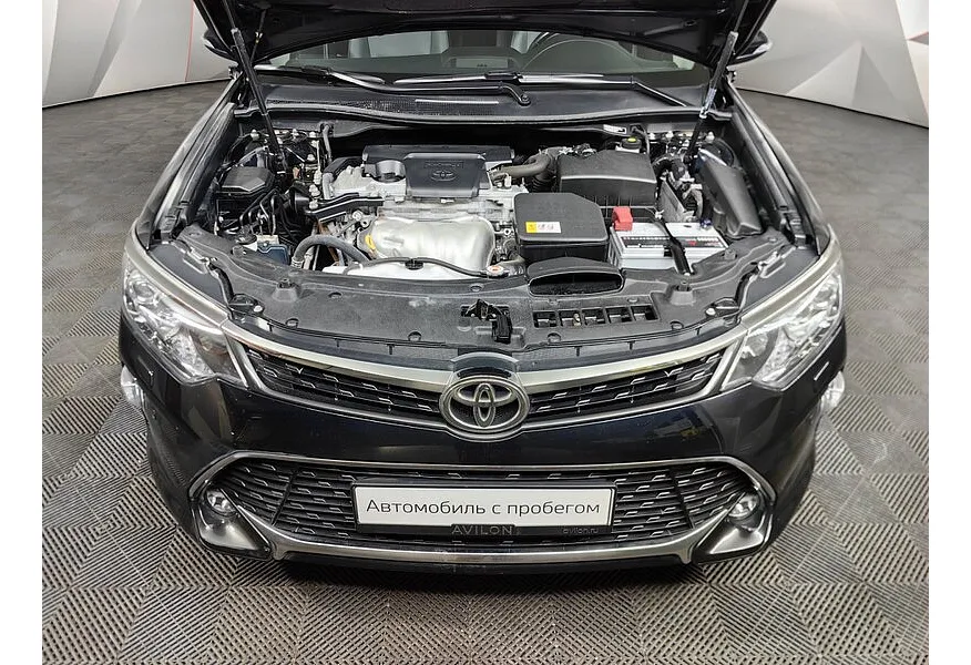 LIVE. Слайд №19