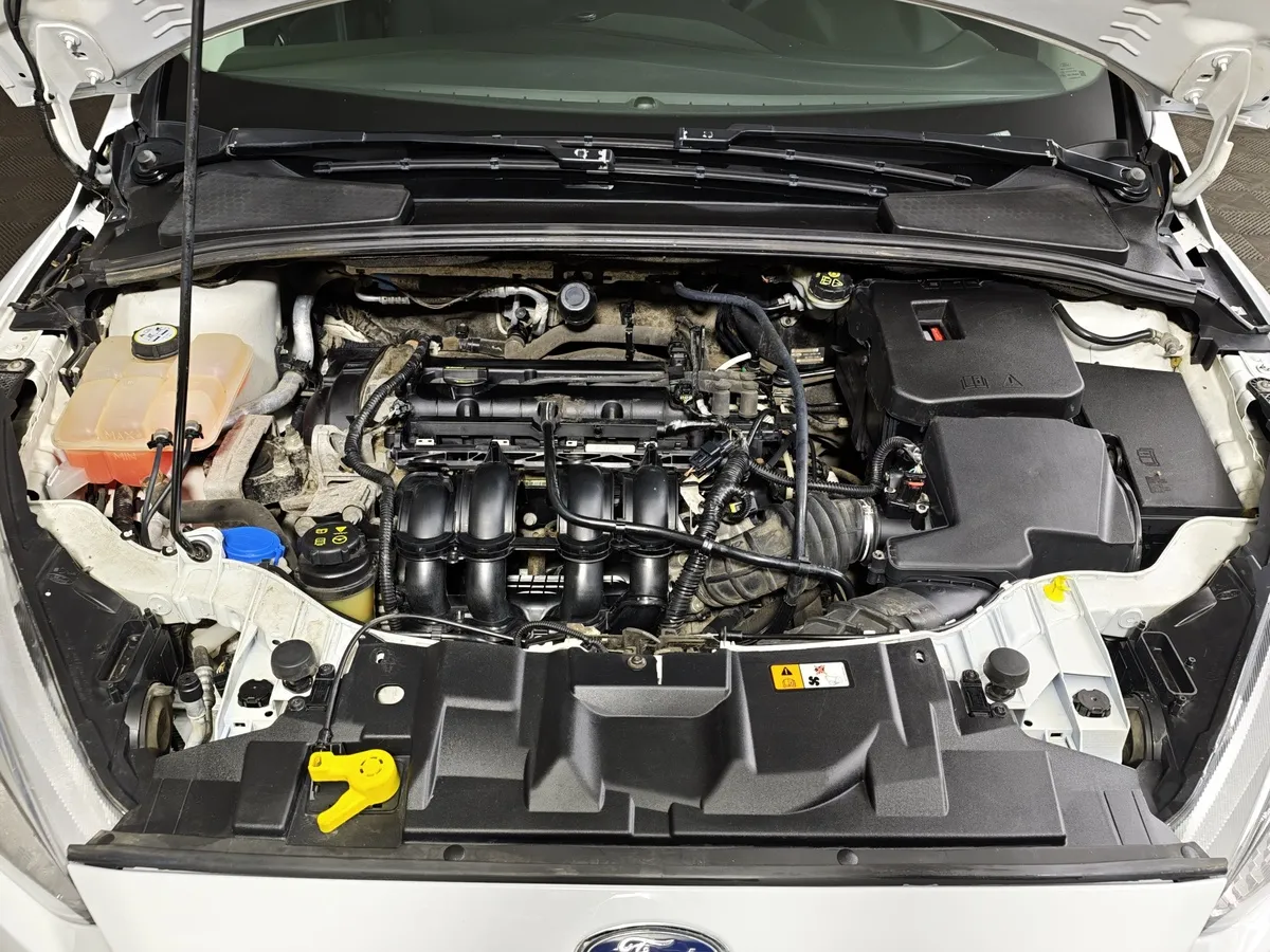 Ford Focus 1.6 PowerShift (105 л.с.) Trend Белый в АВИЛОН. Слайд №11