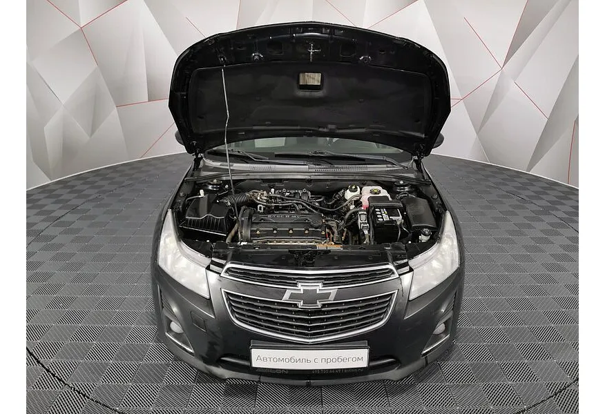 LIVE. Слайд №17