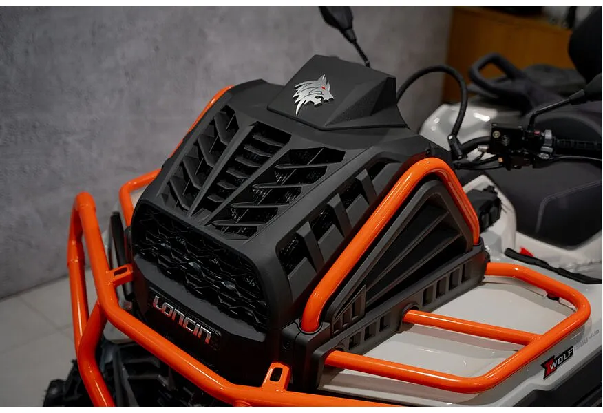 LIVE. Слайд №15