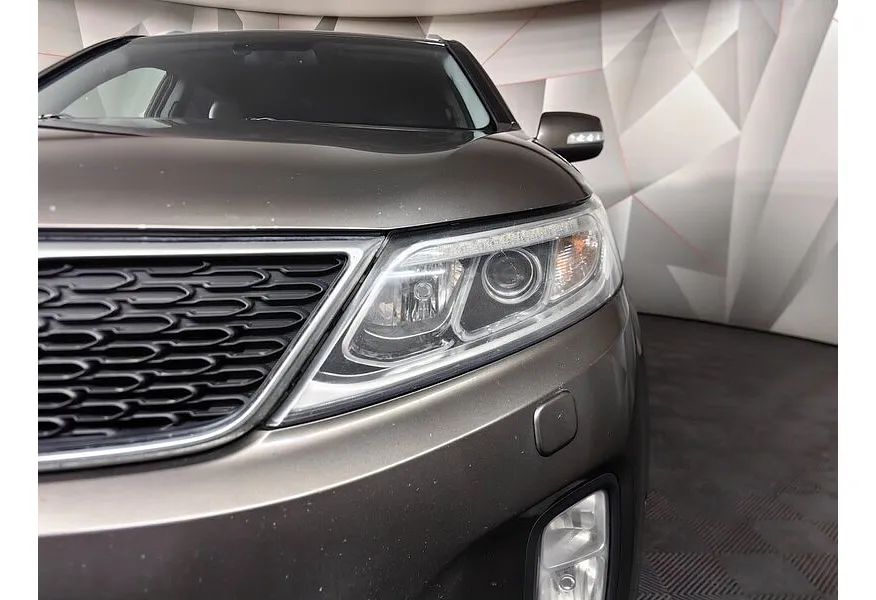 LIVE. Слайд №16