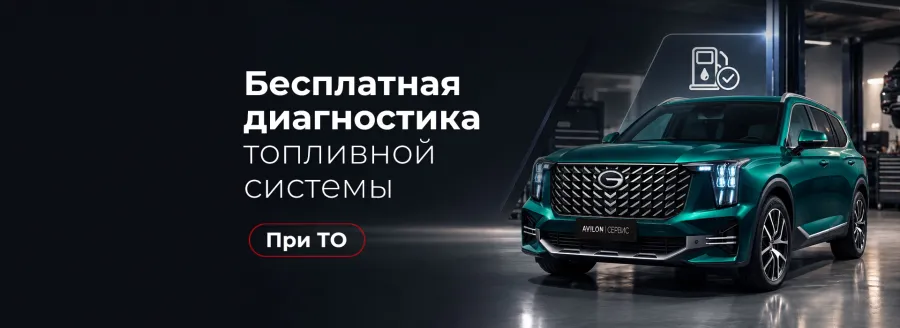 Бесплатная диагностика топливной системы GAC в АВИЛОН