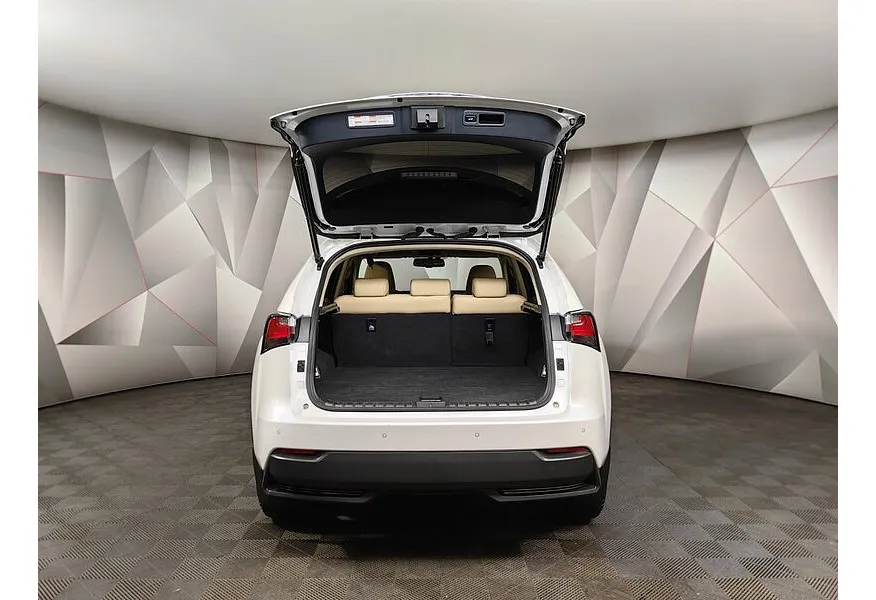 LIVE. Слайд №19