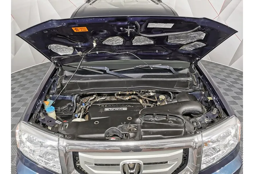 LIVE. Слайд №19