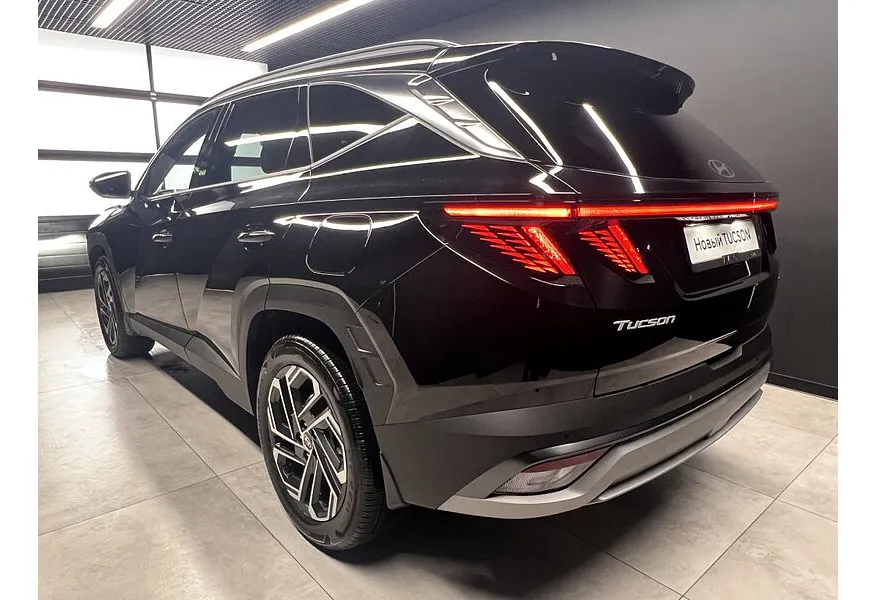 LIVE. Слайд №5