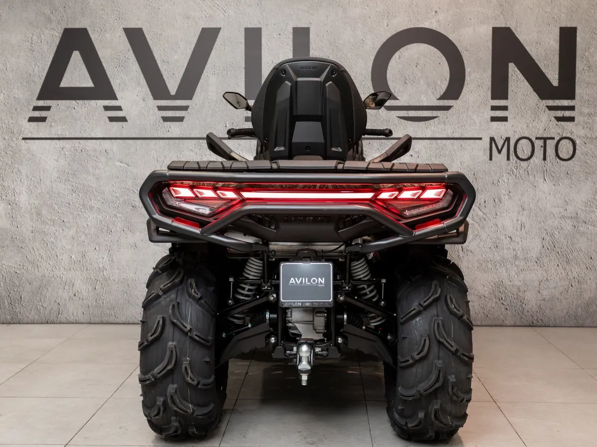 Loncin Xwolf 1000 976 см³ (98 л.с.) 98 976 Коричневый в АВИЛОН. Слайд №4