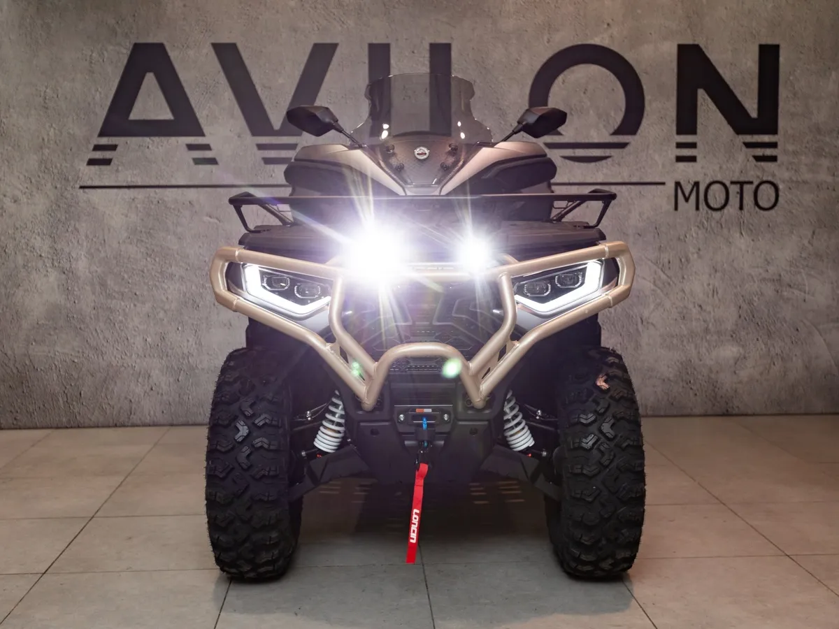 Loncin Xwolf 1000 976 см³ (98 л.с.) 98 976 Серый в АВИЛОН. Слайд №8