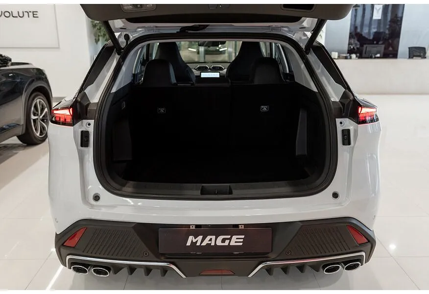 Dongfeng Mage 1.5 AMT FWD (197 л.с.) Progressive Белый в АВИЛОН. Слайд №13