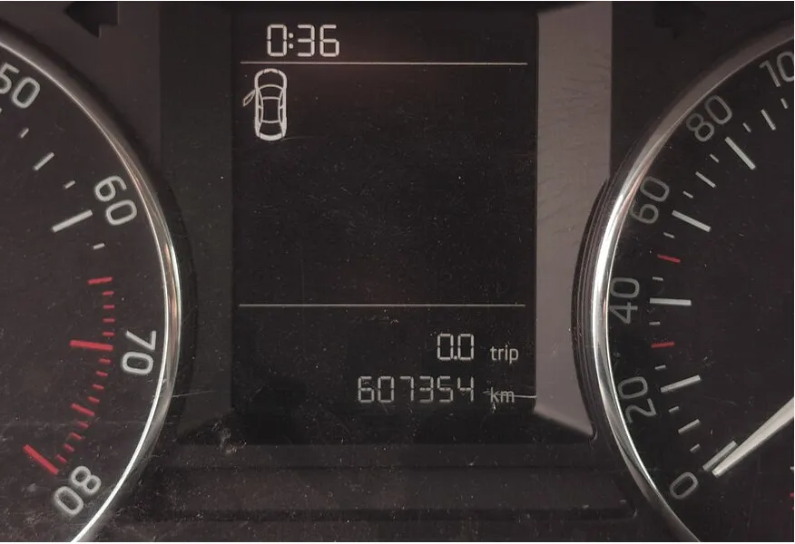 LIVE. Слайд №12