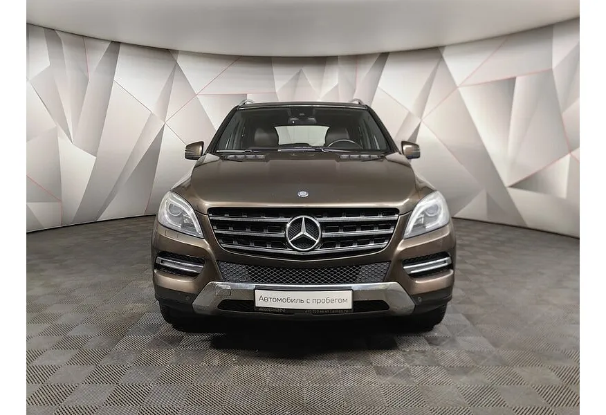 LIVE. Слайд №5