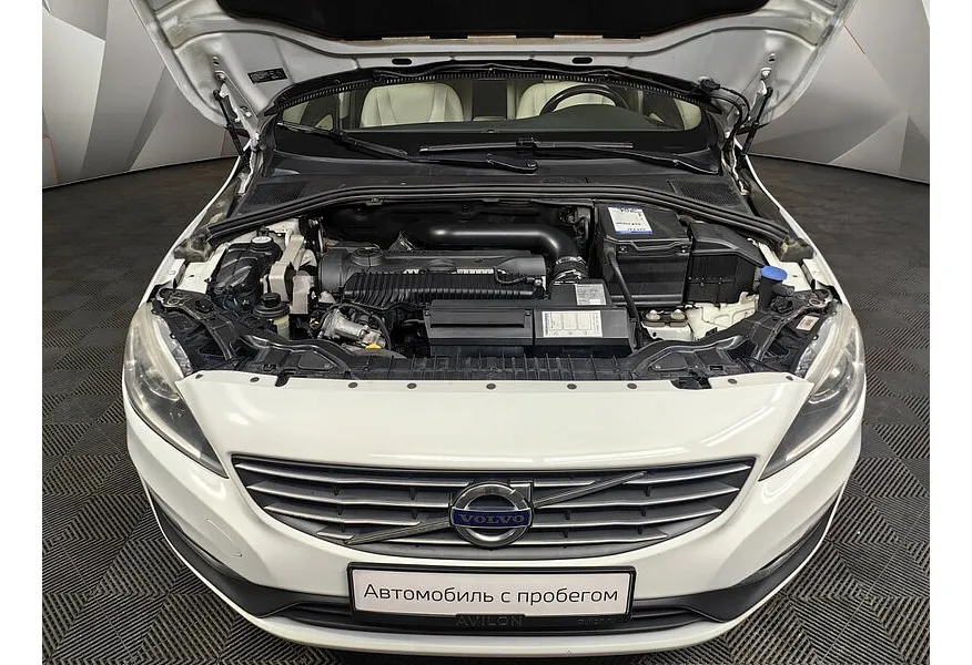 LIVE. Слайд №18