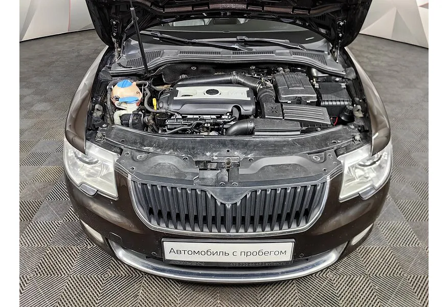 LIVE. Слайд №18