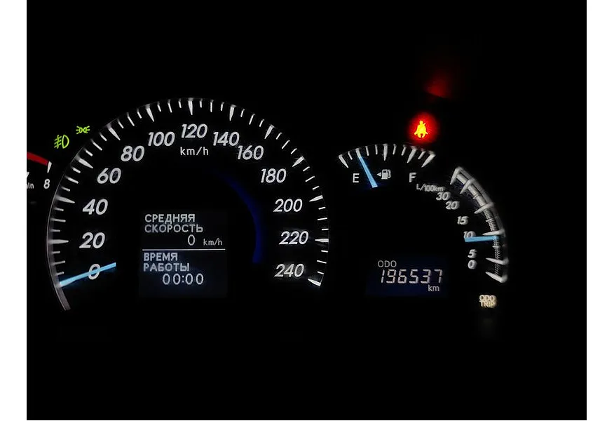 LIVE. Слайд №20