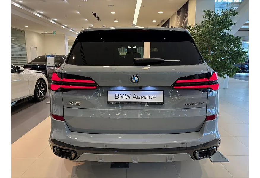 BMW X5 xDrive30d Steptronic (249 л.с.) M Sport Серый в АВИЛОН. Слайд №4
