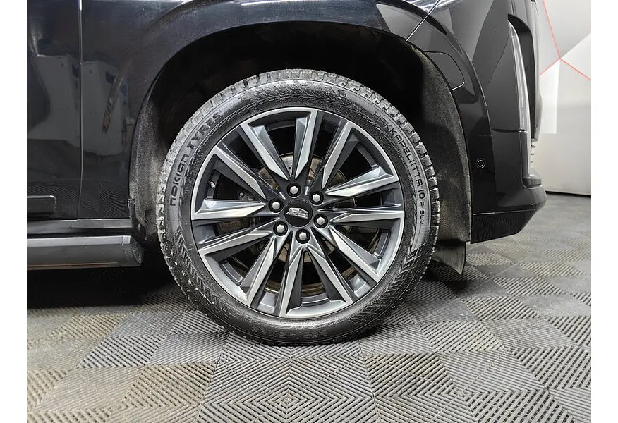 LIVE. Слайд №17