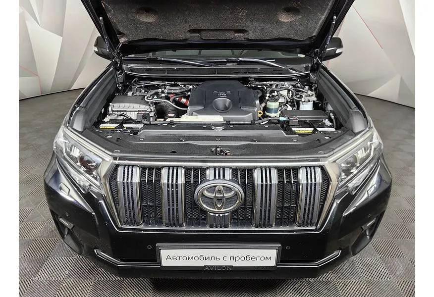 LIVE. Слайд №19