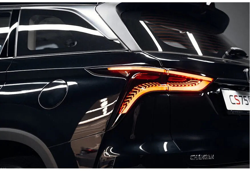 LIVE. Слайд №11