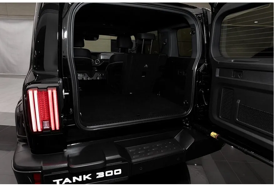 TANK 300 2.0T AT 4WD (220 л.с.) City Premium Черный в АВИЛОН. Слайд №12