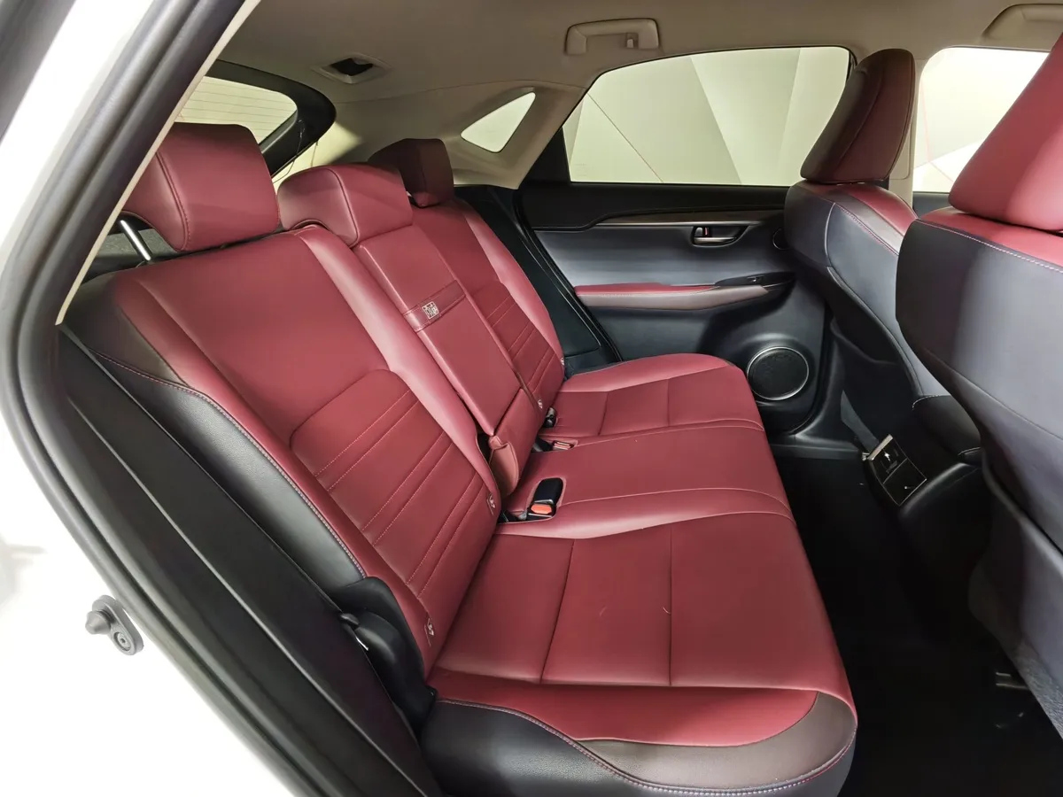 Lexus NX 300 AT AWD (238 л.с.) Белый в АВИЛОН. Слайд №16