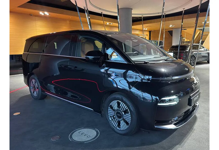 АВИЛОН - LEVC L380 AT 4WD (544 л.с.) 8 мест Max Черный - slide 9507175