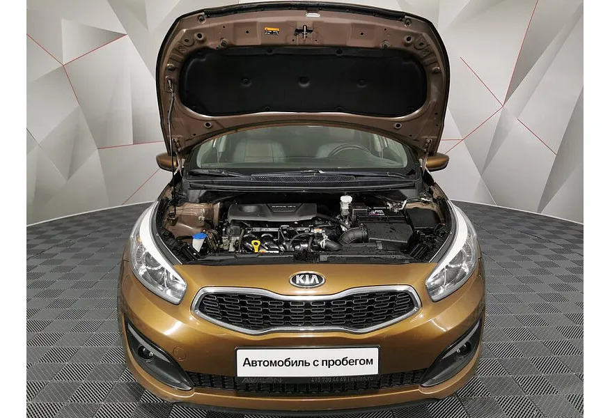 LIVE. Слайд №18