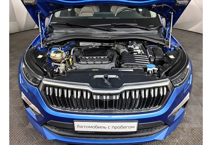 LIVE. Слайд №19