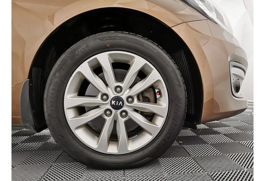 LIVE. Слайд №16