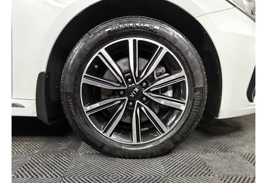 LIVE. Слайд №16