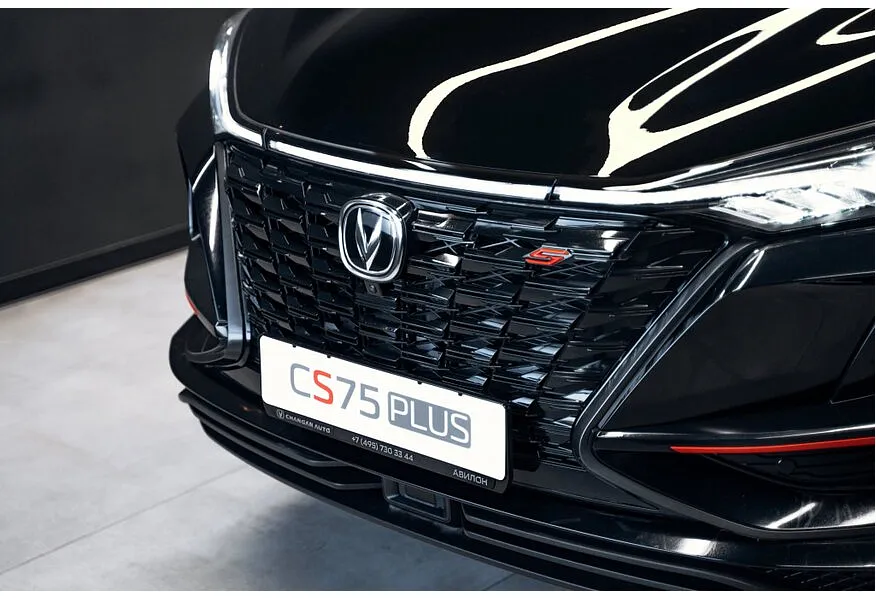 LIVE. Слайд №8