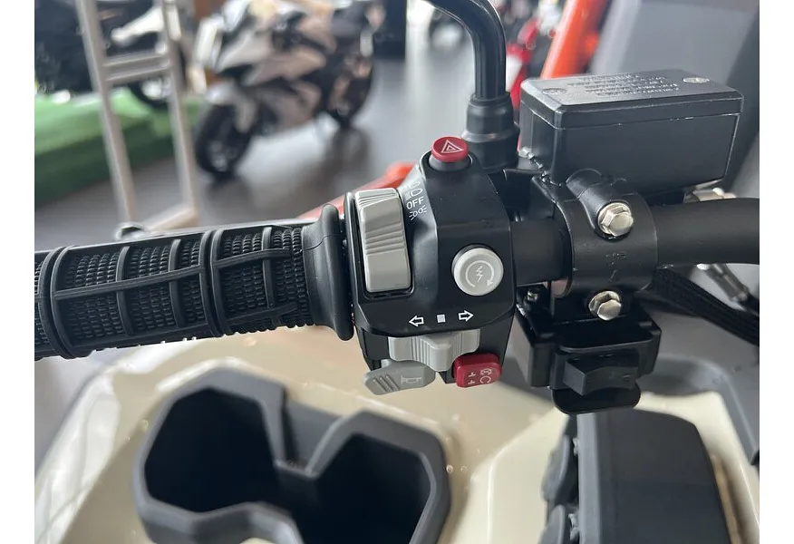 Loncin Xwolf 1000 976 см³ (98 л.с.) 98 976 Желтый в АВИЛОН. Слайд №14
