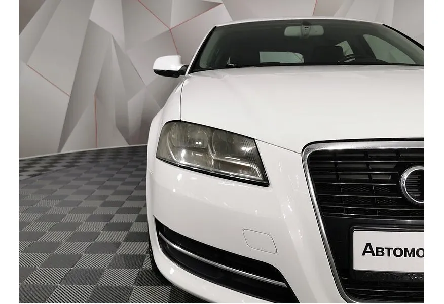 LIVE. Слайд №17