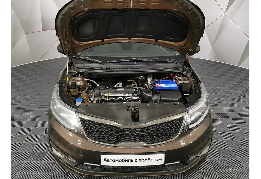 LIVE. Слайд №17