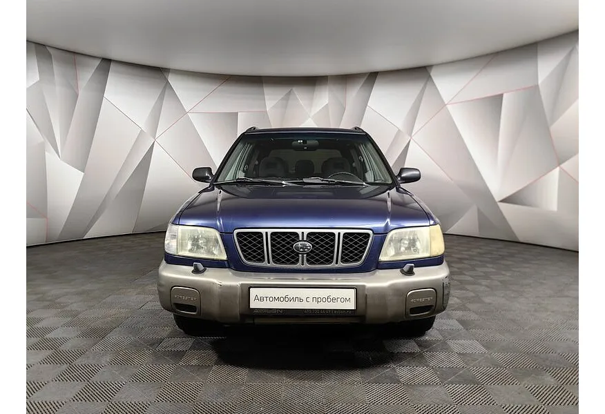 LIVE. Слайд №5