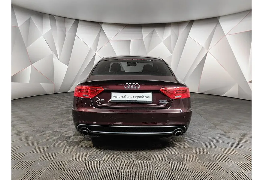 LIVE. Слайд №6