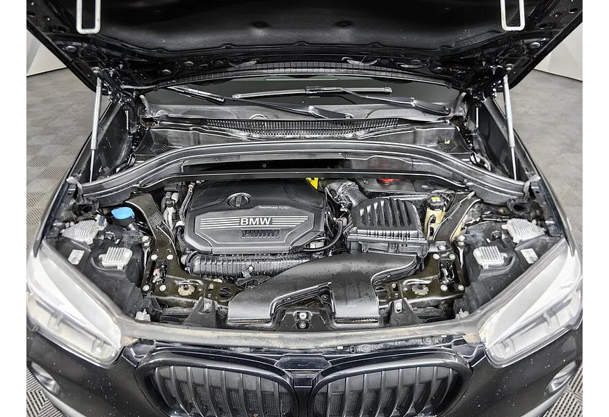 LIVE. Слайд №15