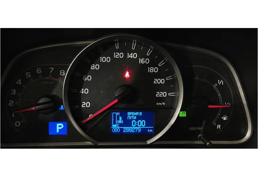 LIVE. Слайд №20