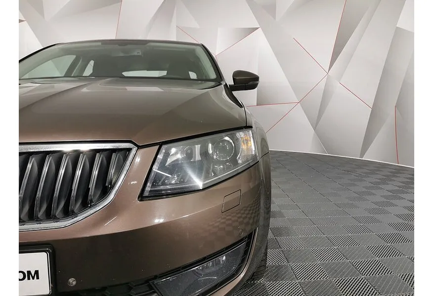 Skoda Octavia 1.8 TSI DSG (180 л.с.) Коричневый в АВИЛОН. Слайд №10