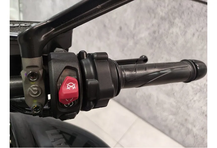 Ducati Diavel V4 1158 см³ (168 л.с.) (168) 1158 Черный в АВИЛОН. Слайд №8