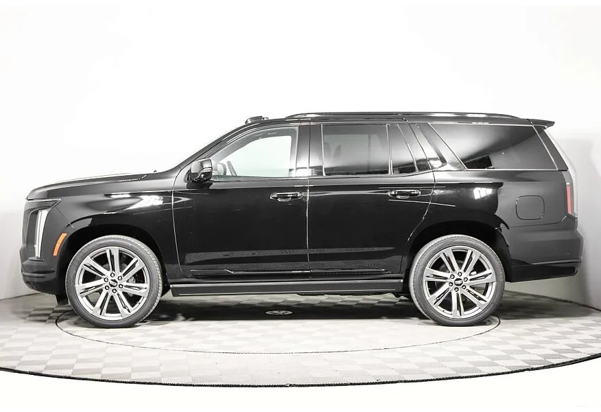 LIVE. Слайд №3