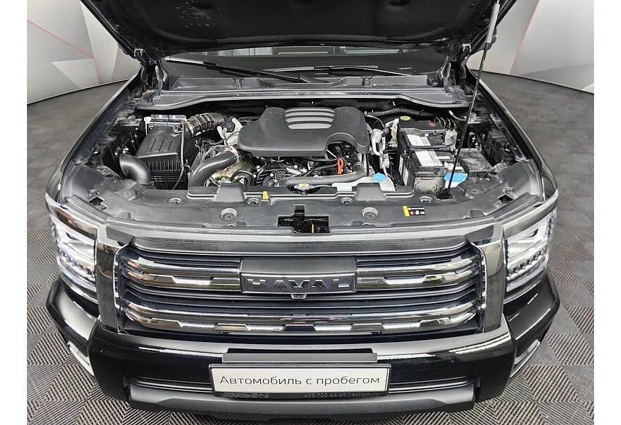 LIVE. Слайд №18