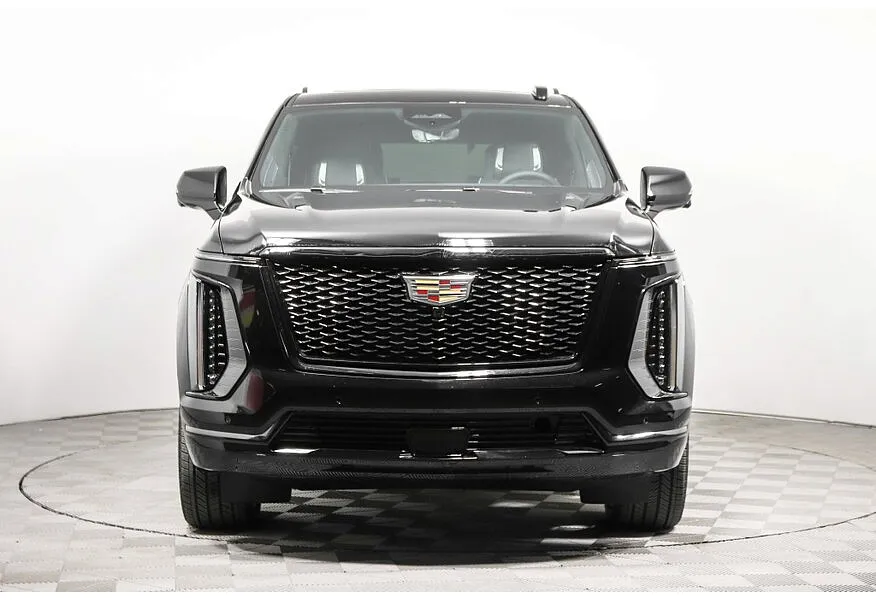 LIVE. Слайд №2