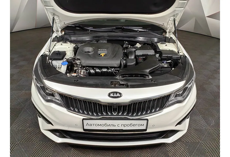 LIVE. Слайд №18