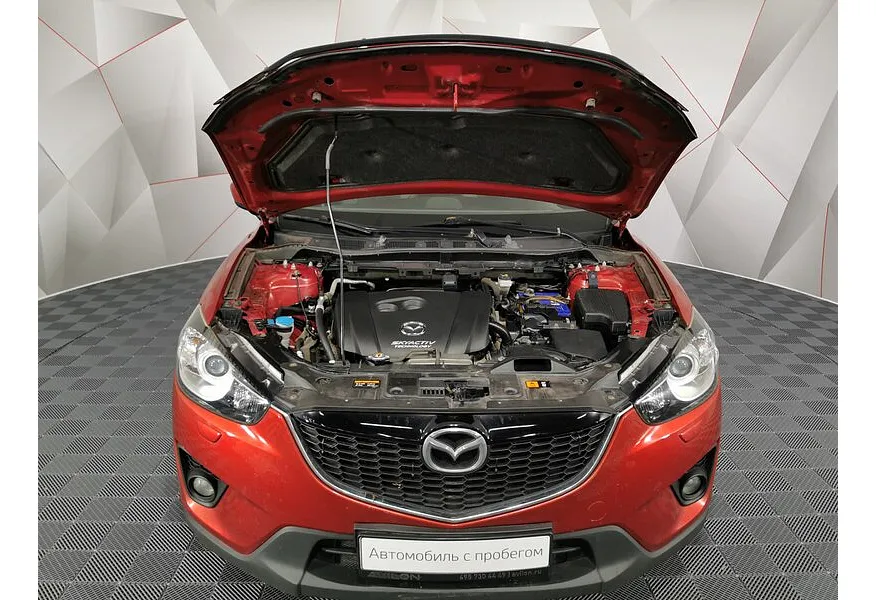 LIVE. Слайд №18