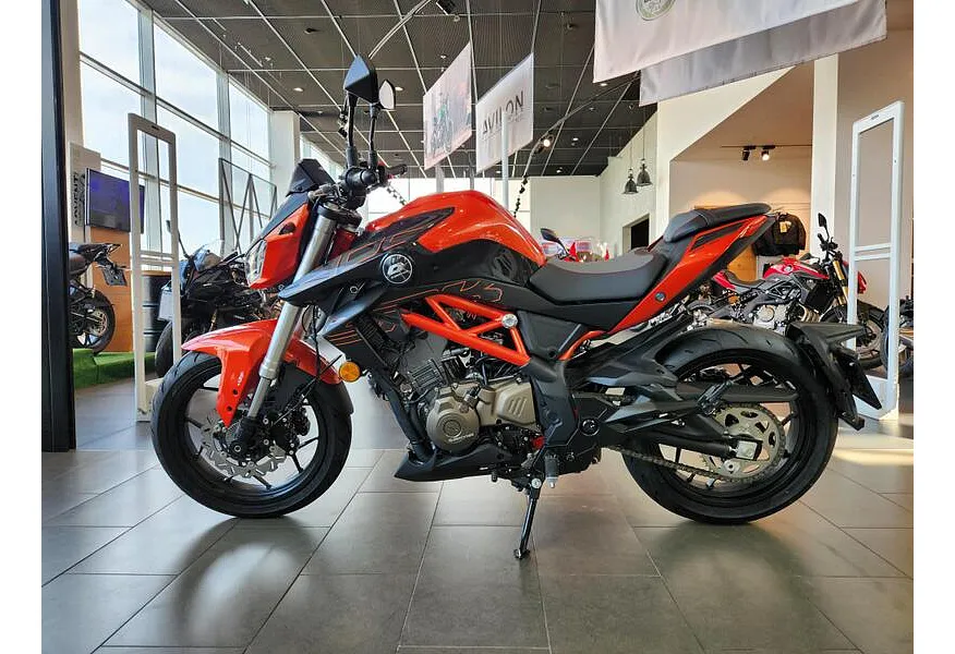 LIVE. Слайд №3