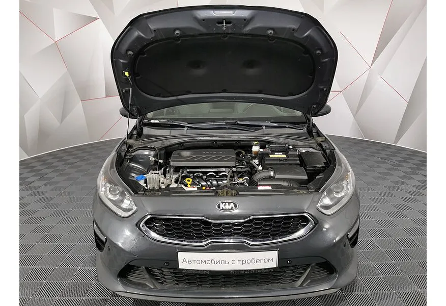 LIVE. Слайд №19