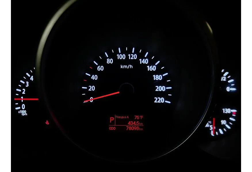 LIVE. Слайд №20