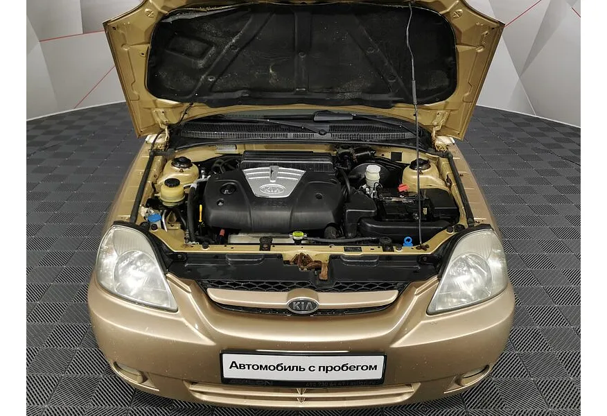 LIVE. Слайд №18